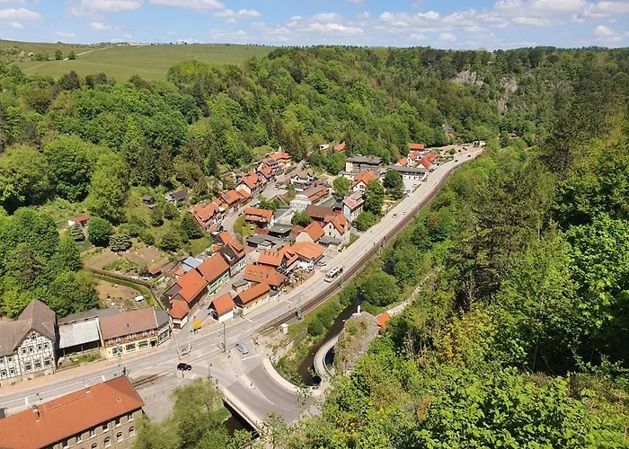 Numero1-pension Und Cafe ゲストハウス 3*